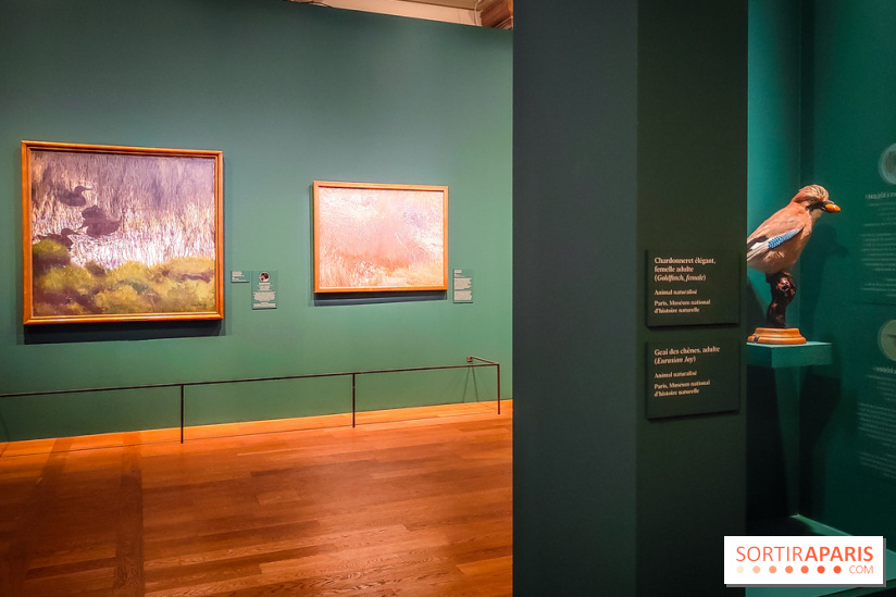 Bruno Liljefors, la Suède sauvage : l'exposition poétique se dévoile en images au Petit Palais - IMG20240930102545