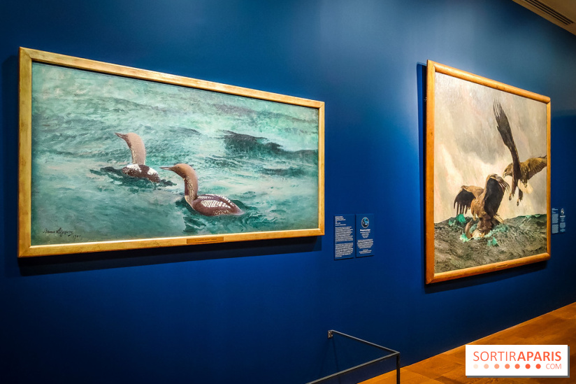 Bruno Liljefors, la Suède sauvage : l'exposition poétique se dévoile en images au Petit Palais - IMG20240930101553