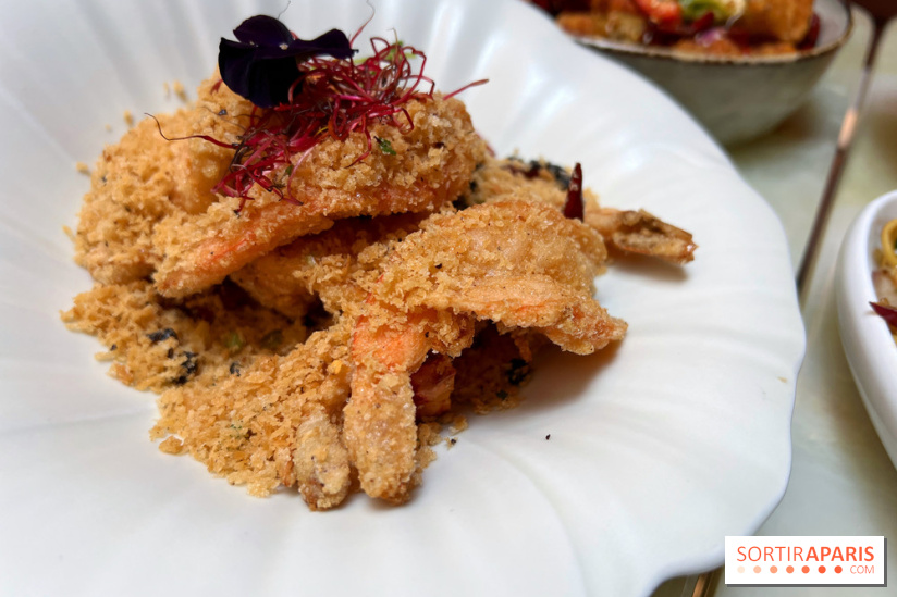 Red Katz - Crevettes Black Tiger