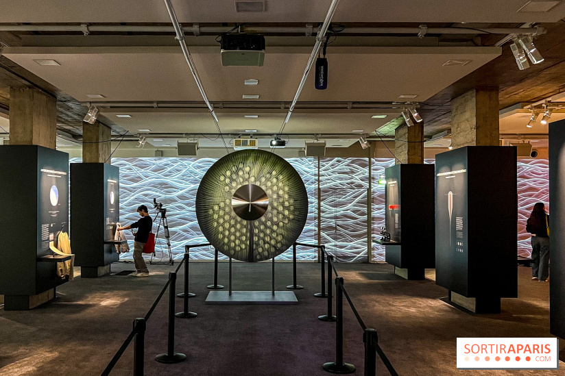 L'Art de la Science du Lifewear : l'exposition UNIQLO, Place Vendôme - image00007