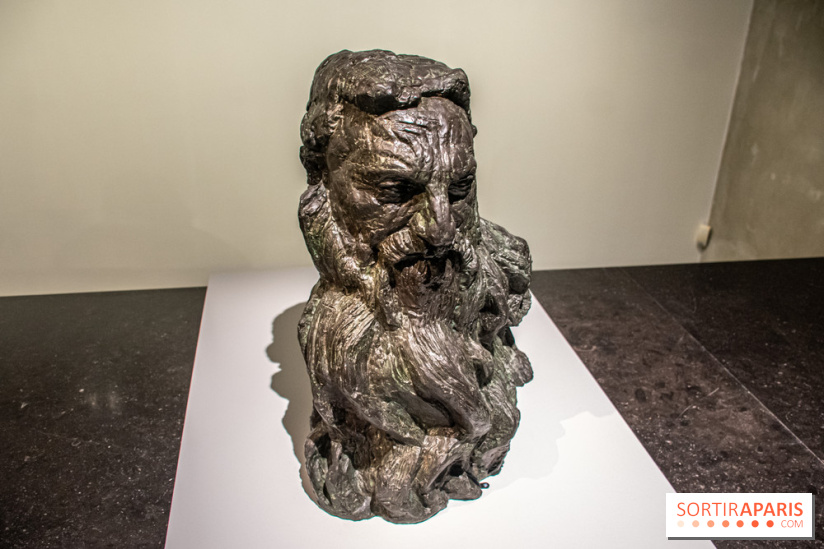 Rodin/Bourdelle - Corps à corps au Musée Bourdelle - DSC 1204