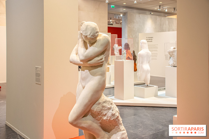 Rodin/Bourdelle - Corps à corps au Musée Bourdelle - DSC 1212