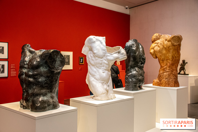 Rodin/Bourdelle - Corps à corps au Musée Bourdelle