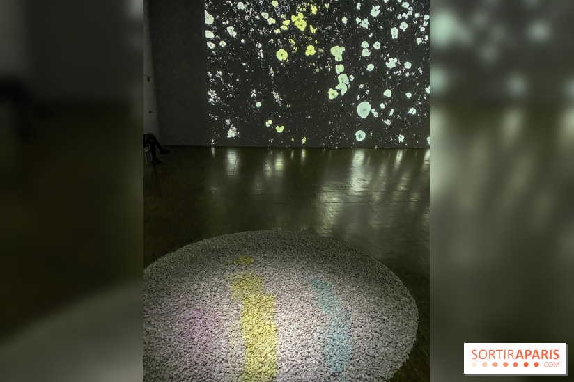 Prix Marcel Duchamp 2024 au Centre Pompidou