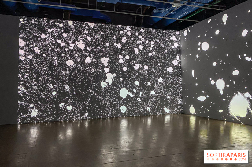 Prix Marcel Duchamp 2024 au Centre Pompidou - IMG 0321