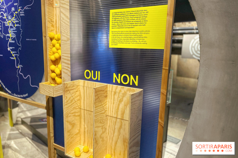 Expo Baignade en Seine - IMG 4807