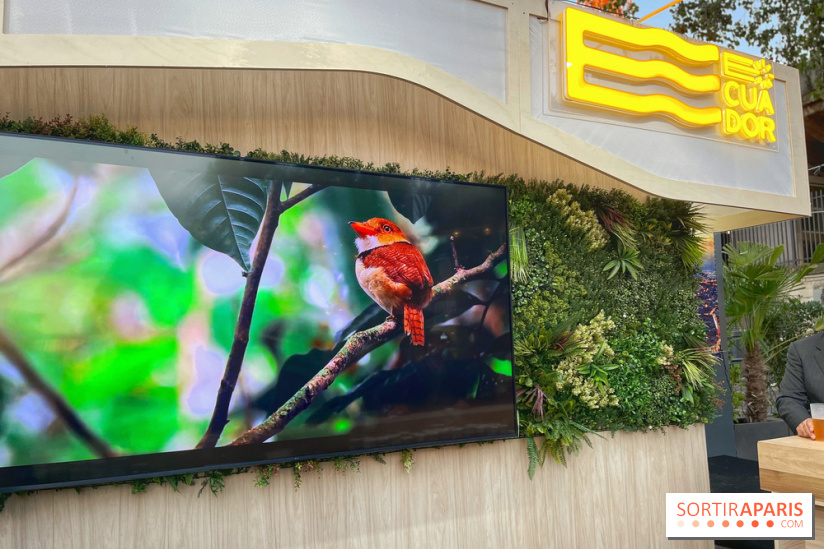 Pop up Equateur - IMG 4825