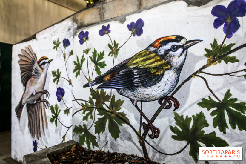 L'usine fait le mur, nos photos du festival de street art dans le 94 - IMG 6217