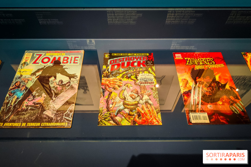 Zombis, la mort n'est pas une fin : l'exposition du musée du Quai Branly - IMG20241007111748