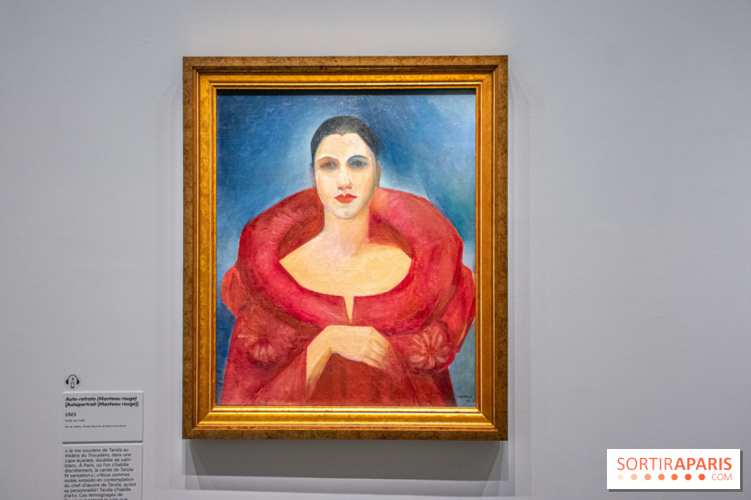 Exposition Tarsila do Amaral au Musée du Luxembourg - DSC 1279