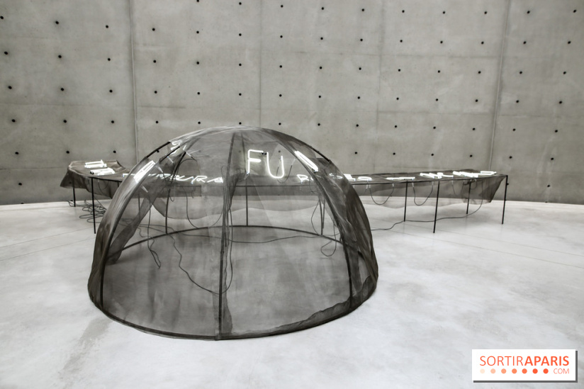 Arte Povera, l'exposition à la Bourse de Commerce, nos photos - IMG 6238