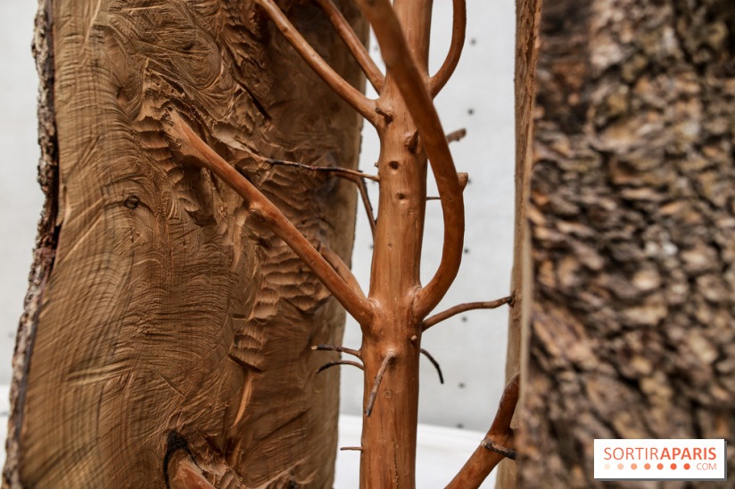 Arte Povera, l'exposition à la Bourse de Commerce, nos photos - IMG 6243