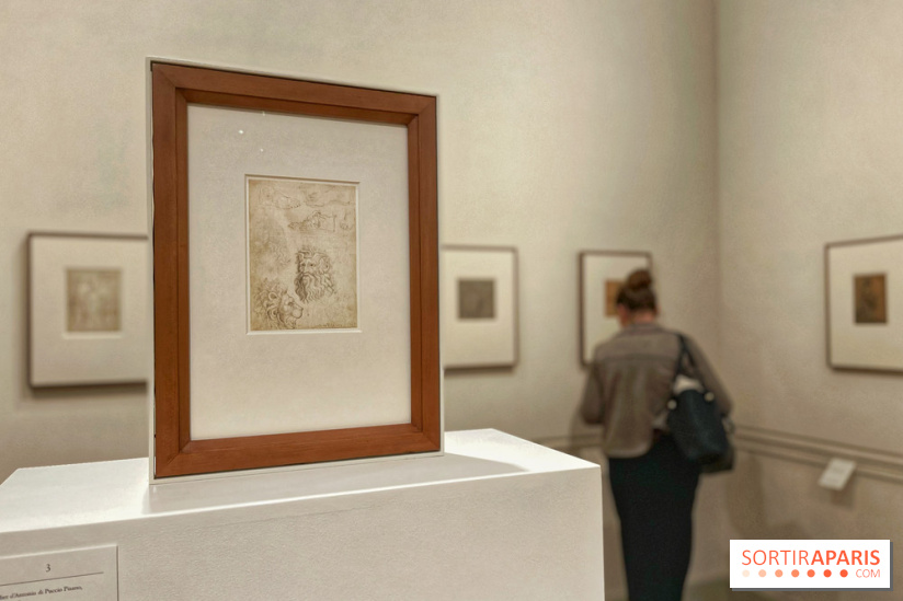 Naissance et Renaissance du dessin italien - IMG 4952