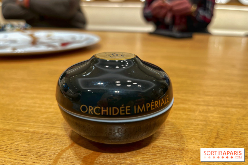 Institut Bernardaud - porcelaine