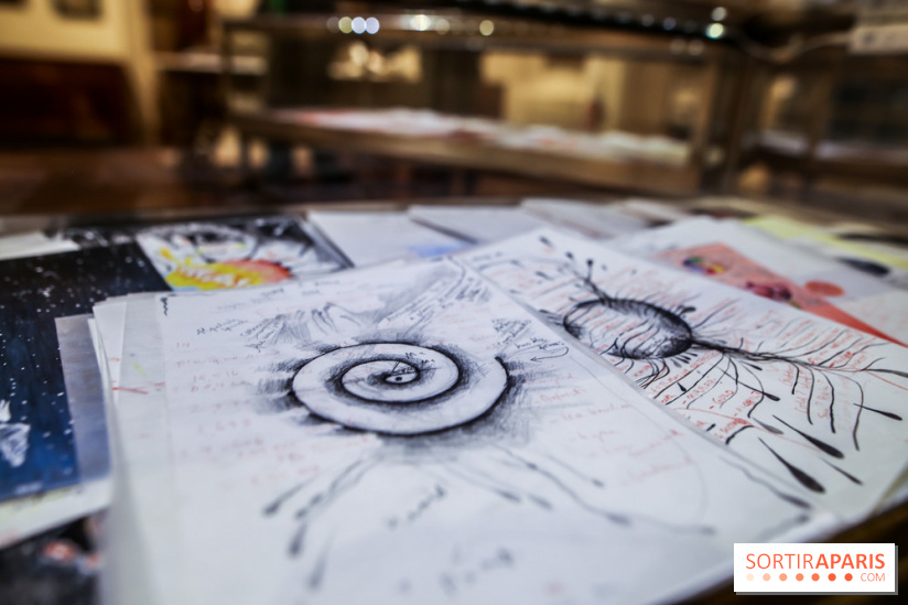 Ylva Snöfrid, exposition Cosmos et Vanitas à l'Institut suédois, nos photos - IMG 6375