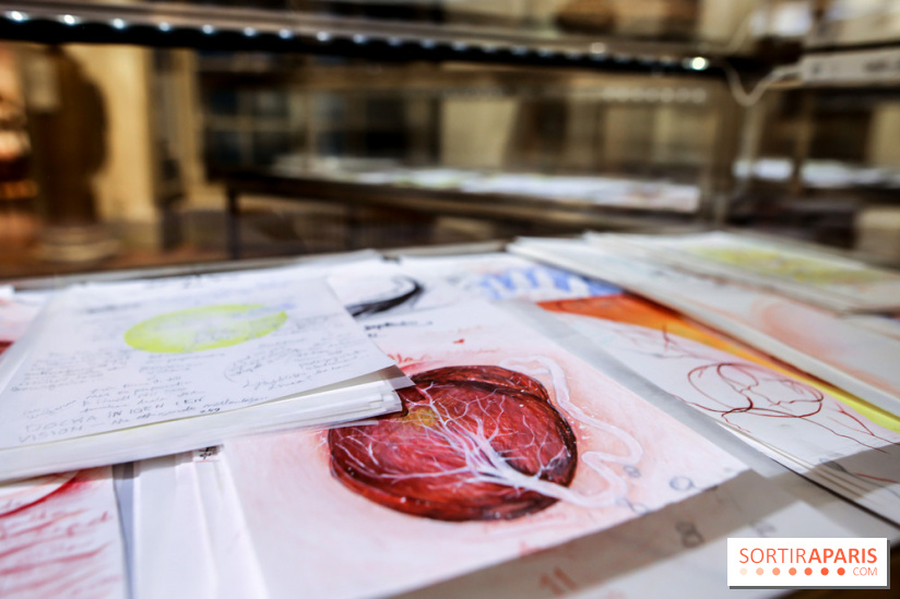 Ylva Snöfrid, exposition Cosmos et Vanitas à l'Institut suédois, nos photos - IMG 6377