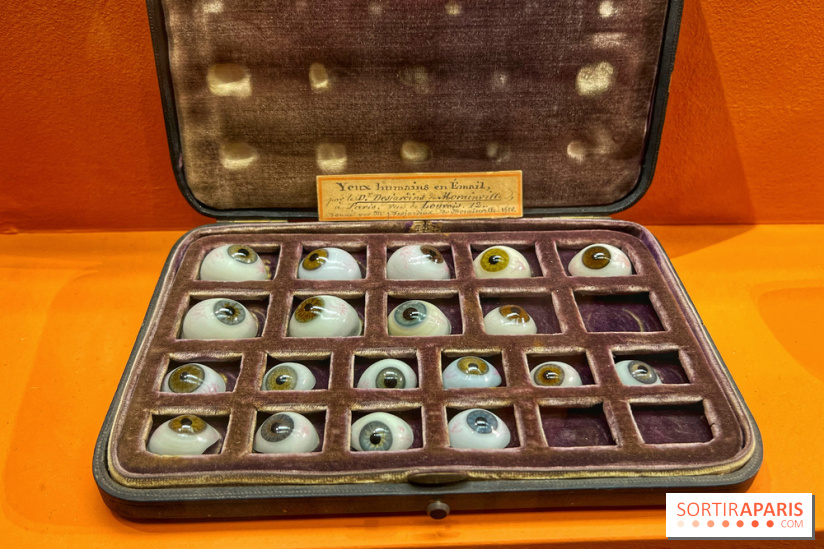 Merveilles - Sèvres - IMG 5130