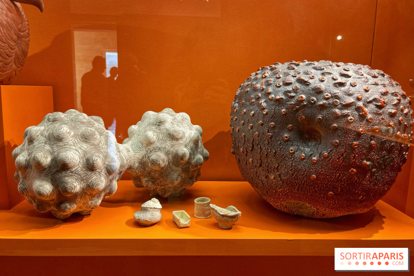 Merveilles - Sèvres - IMG 5132