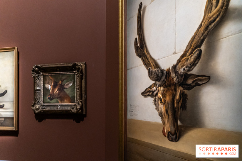 Les photos de l'exposition Oudry, peinte de courre au Château de Fontainebleau