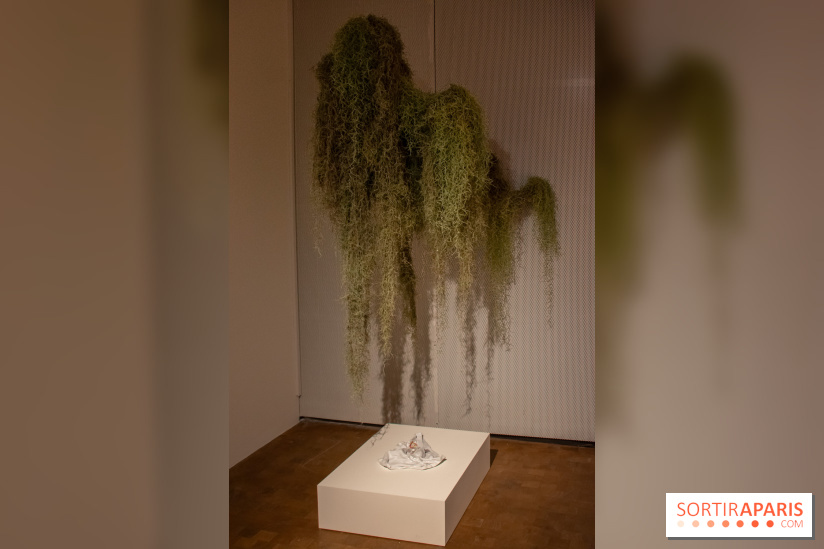 Exposition Soft Skills de Mohamad Abdouni à Lafayette Anticipations - DSC 1544