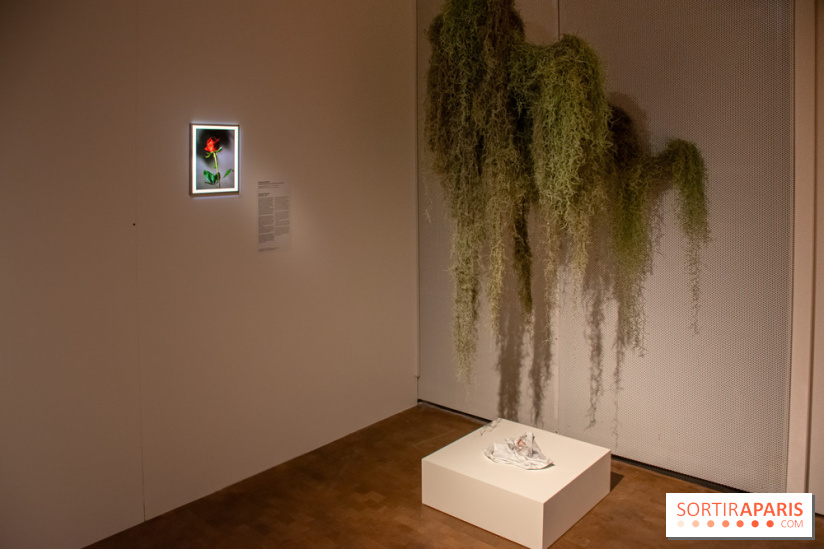 Exposition Soft Skills de Mohamad Abdouni à Lafayette Anticipations - DSC 1545