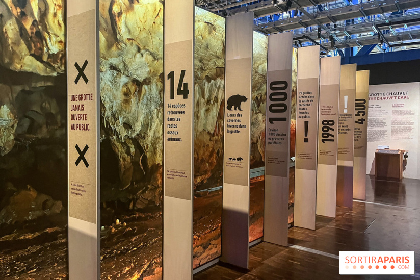 La Grotte Chauvet à la Cité des Sciences, nos photos
