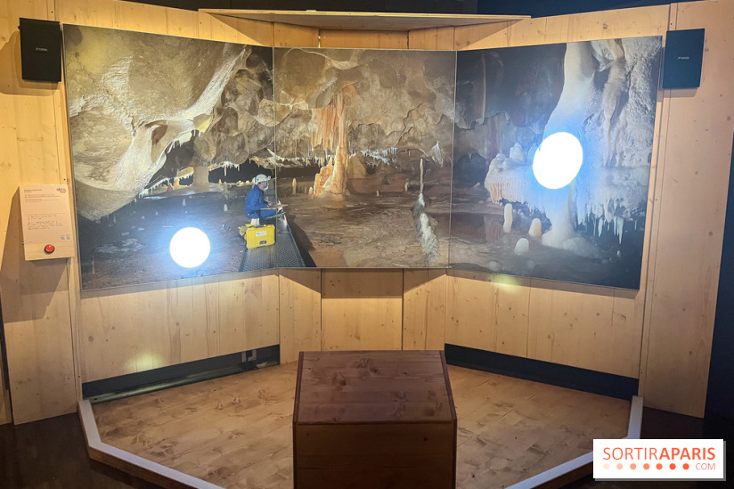 La Grotte Chauvet à la Cité des Sciences, nos photos  - image00014