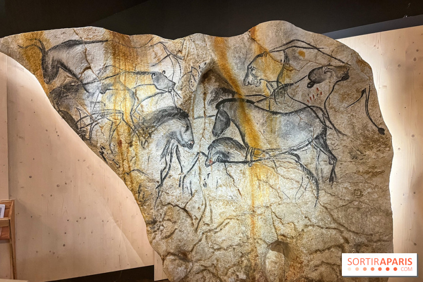 La Grotte Chauvet à la Cité des Sciences, nos photos  - image00010