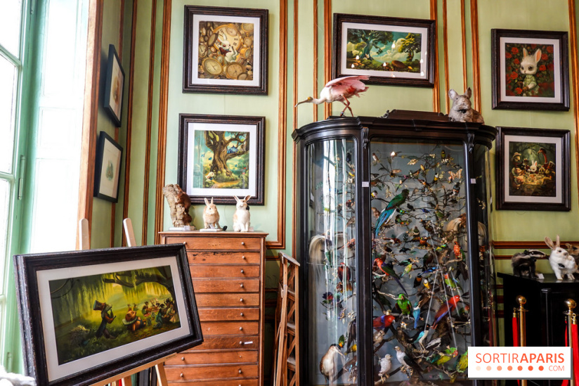 Benjamin Lacombe, nos photos de son exposition chez Deyrolle à Paris - DSC05548