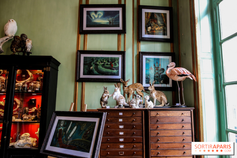 Benjamin Lacombe, nos photos de son exposition chez Deyrolle à Paris