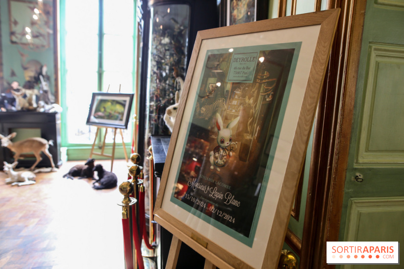 Benjamin Lacombe, nos photos de son exposition chez Deyrolle à Paris