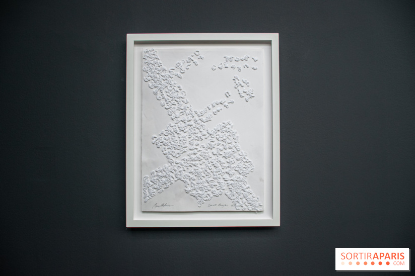 Exposition Barbara Chase-Riboud au Palais de Tokyo :  - DSC 1584