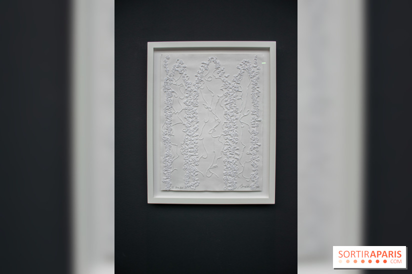 Exposition Barbara Chase-Riboud au Palais de Tokyo :  - DSC 1587