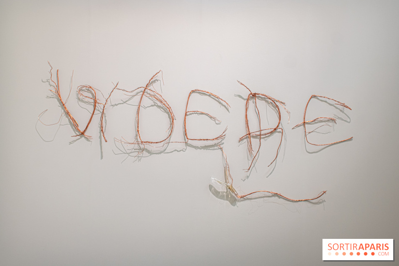 Exposition Praesentia de Myriam Mihindou au Palais de Tokyo - DSC 1615