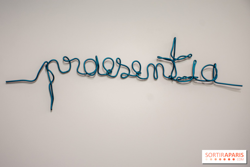 Exposition Praesentia de Myriam Mihindou au Palais de Tokyo - DSC 1619