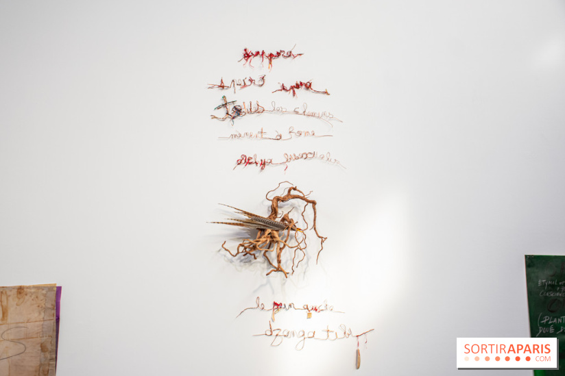 Exposition Praesentia de Myriam Mihindou au Palais de Tokyo - DSC 1621