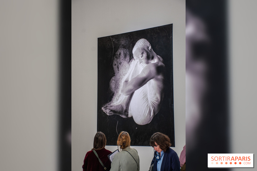 Exposition Praesentia de Myriam Mihindou au Palais de Tokyo - DSC 1625