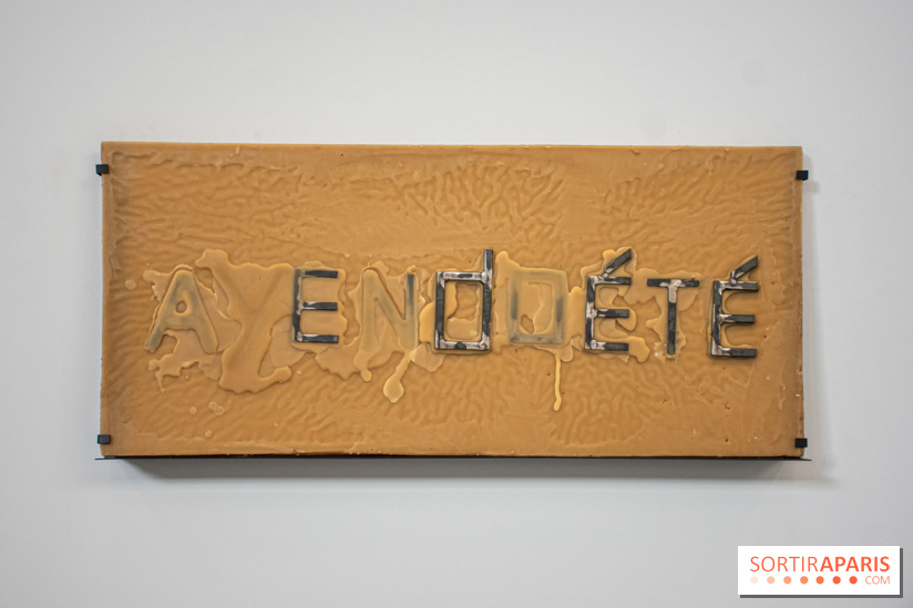 Exposition Praesentia de Myriam Mihindou au Palais de Tokyo - DSC 1626