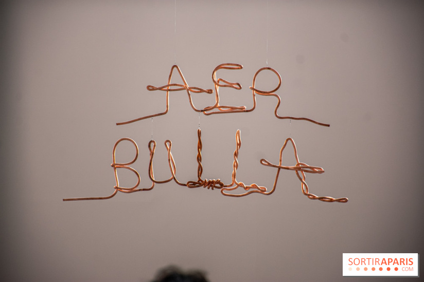 Exposition Praesentia de Myriam Mihindou au Palais de Tokyo - DSC 1627