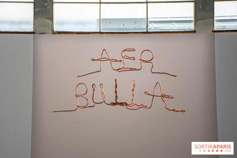 Exposition Praesentia de Myriam Mihindou au Palais de Tokyo - DSC 1631