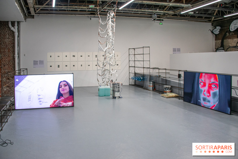 Les Frontières sont des animaux nocturnes : l'expo pour la saison lituanienne au Palais de Tokyo - DSC 1641