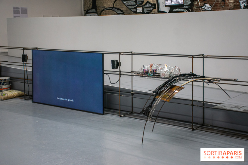 Les Frontières sont des animaux nocturnes : l'expo pour la saison lituanienne au Palais de Tokyo - DSC 1642