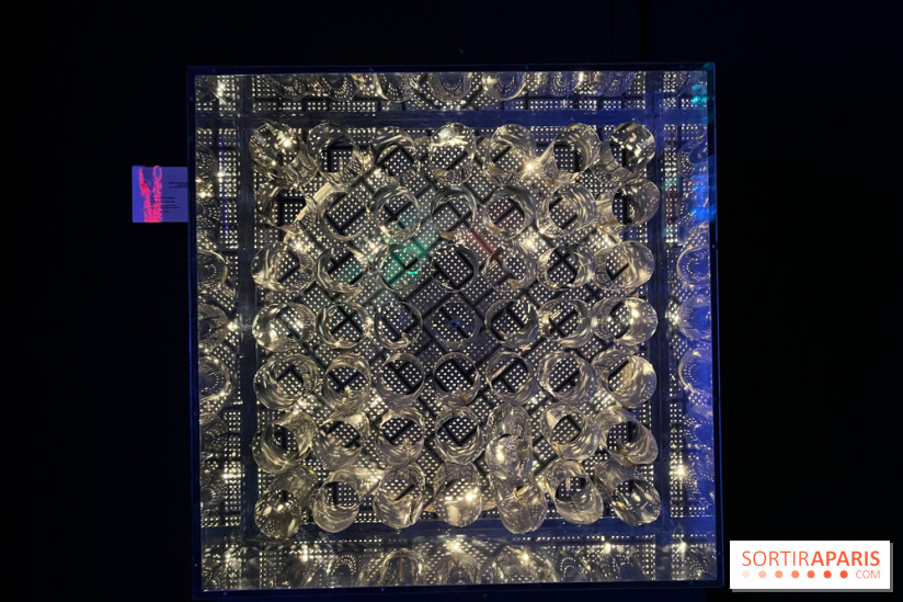 Fondation Cherqui - nos photos - image00017