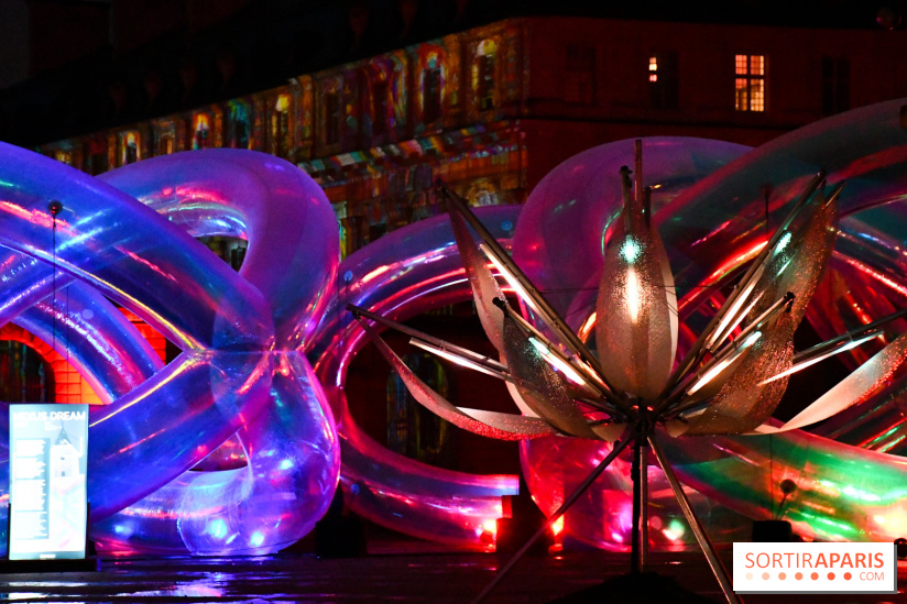 Vincennes, Château de Lumières - DSC 2537