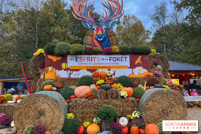 Les Esprits de la Forêt - IMG 5584