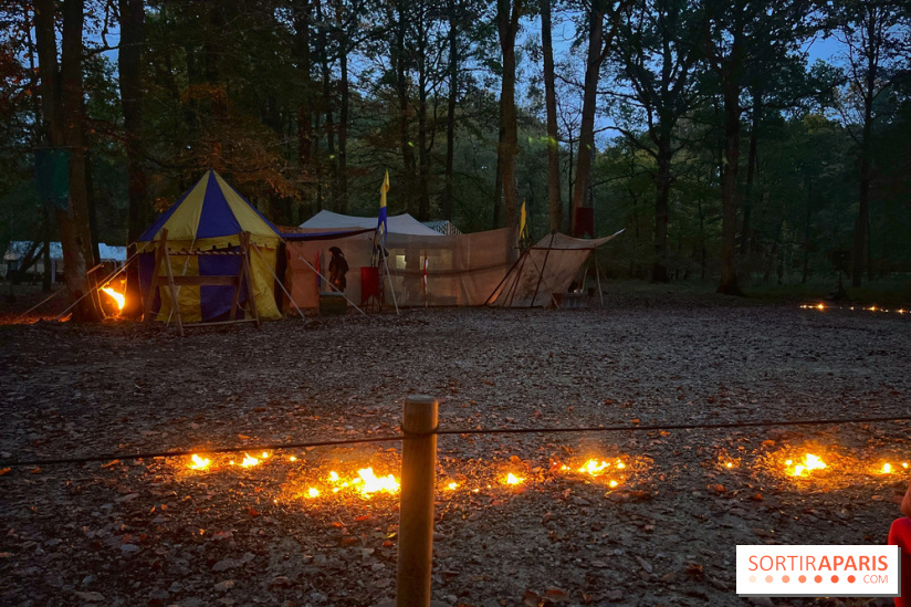 Les Esprits de la Forêt - IMG 5595