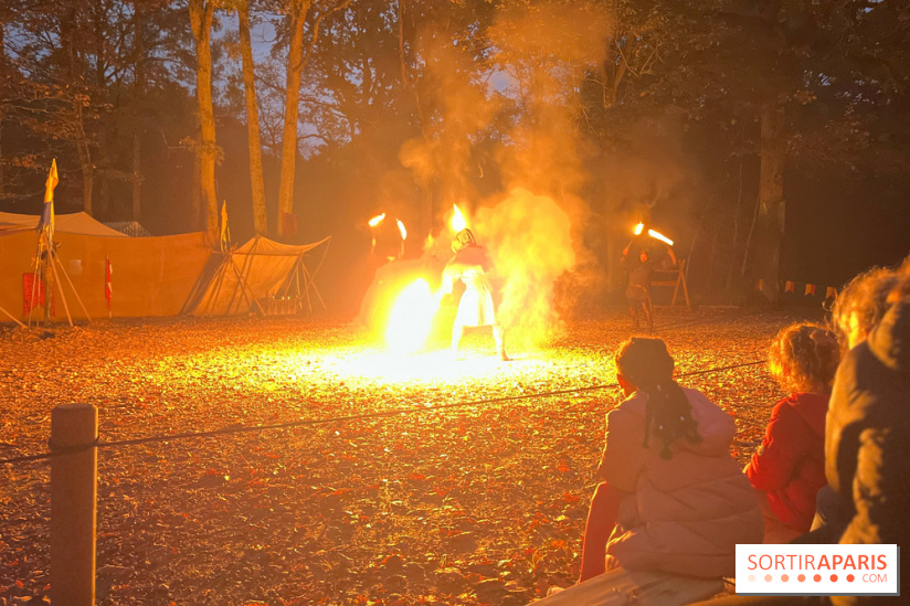 Les Esprits de la Forêt - IMG 5603