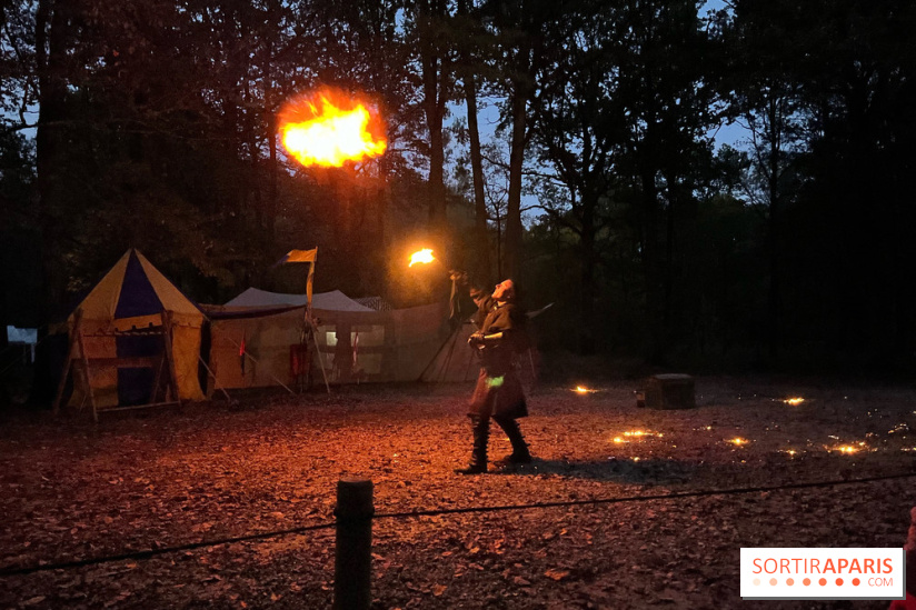 Les Esprits de la Forêt - IMG 5611