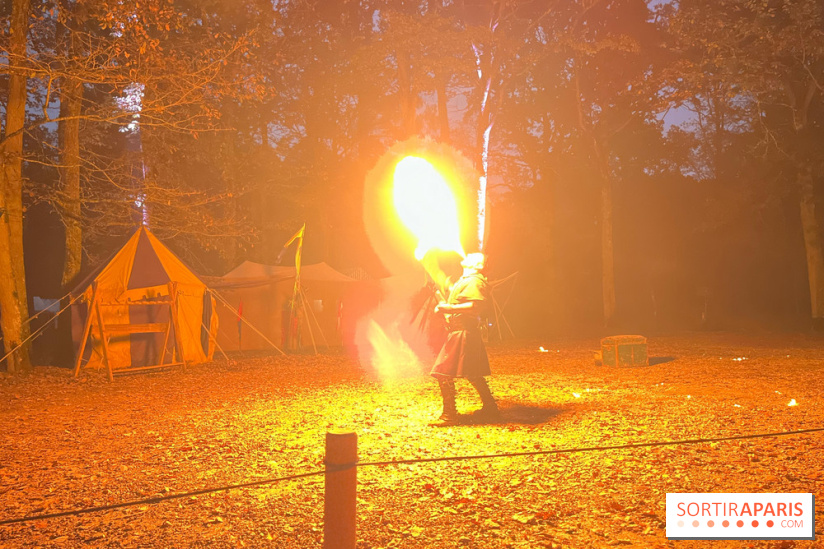 Les Esprits de la Forêt - IMG 5612