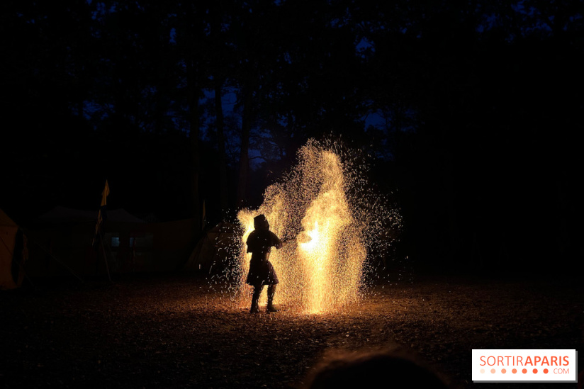 Les Esprits de la Forêt - IMG 5629